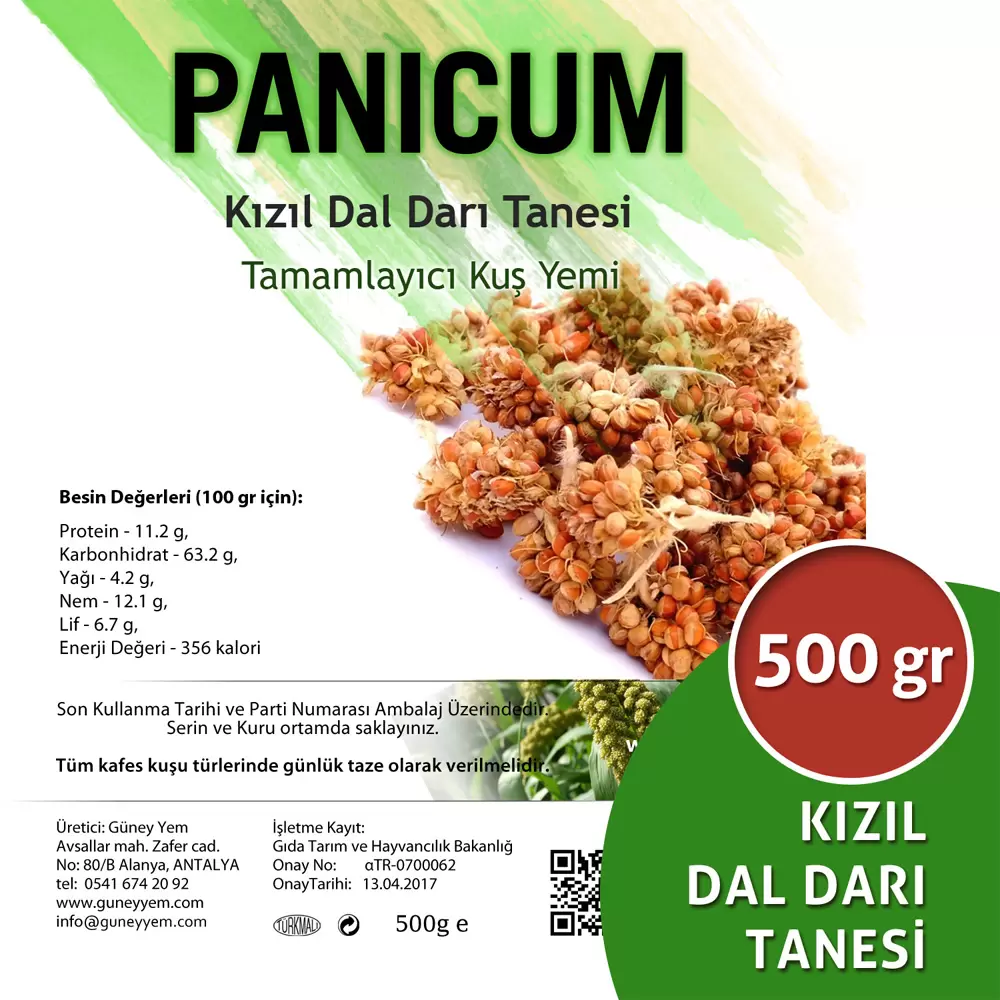 Kızıl Dal Darı Tanesi 500 gr Panicum