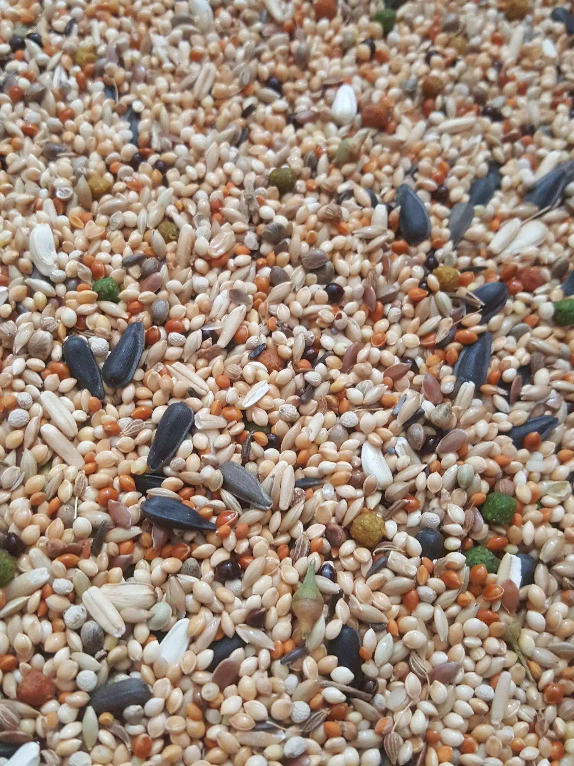 Sultan Papağanı Yemi 500 gr - Görsel 2