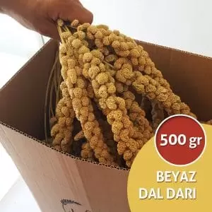 beyaz dal darı, millet spray