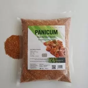 Kırmızı dal darı tanesi