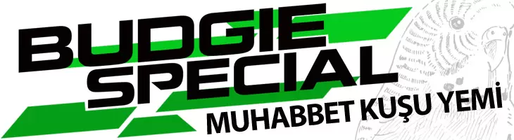 muhabbet kuşu yemi