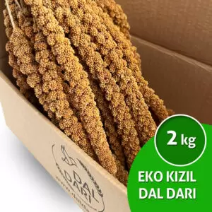 ucuz kızıl dal darı
