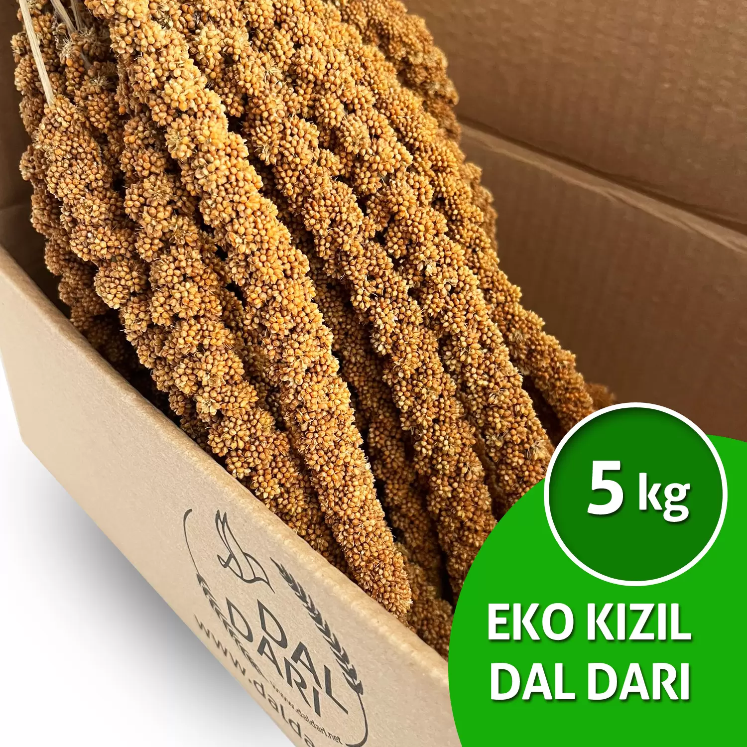 ekonomik kızıl dal darı