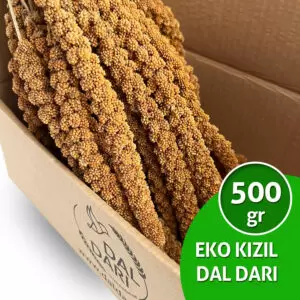 ucuz kızıl dal darı