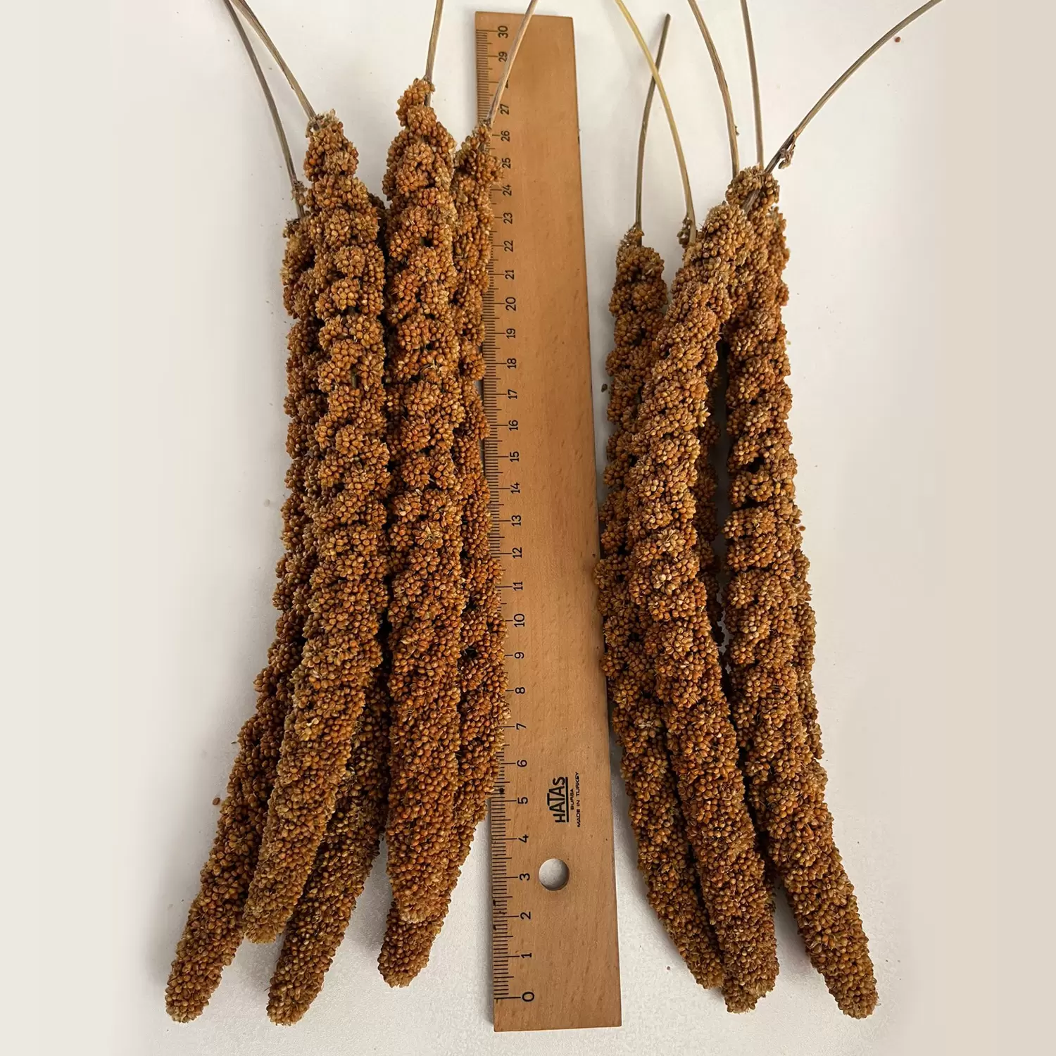 ucuz kızıl dal darı