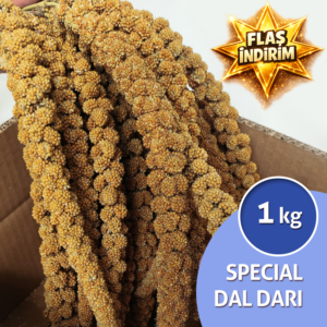 Special Dal Darı 1 kg Lütfen Açıklamayı Okuyunuz