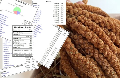 kızıl dal darı besin değeri